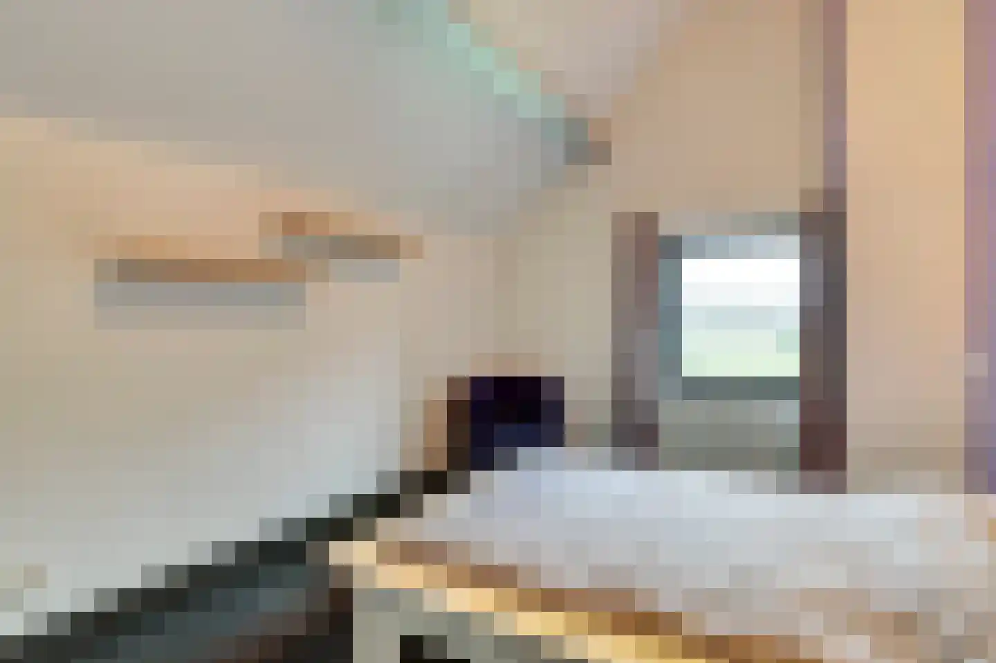Wellenseind 5 Lage Mierde thumbnail 33