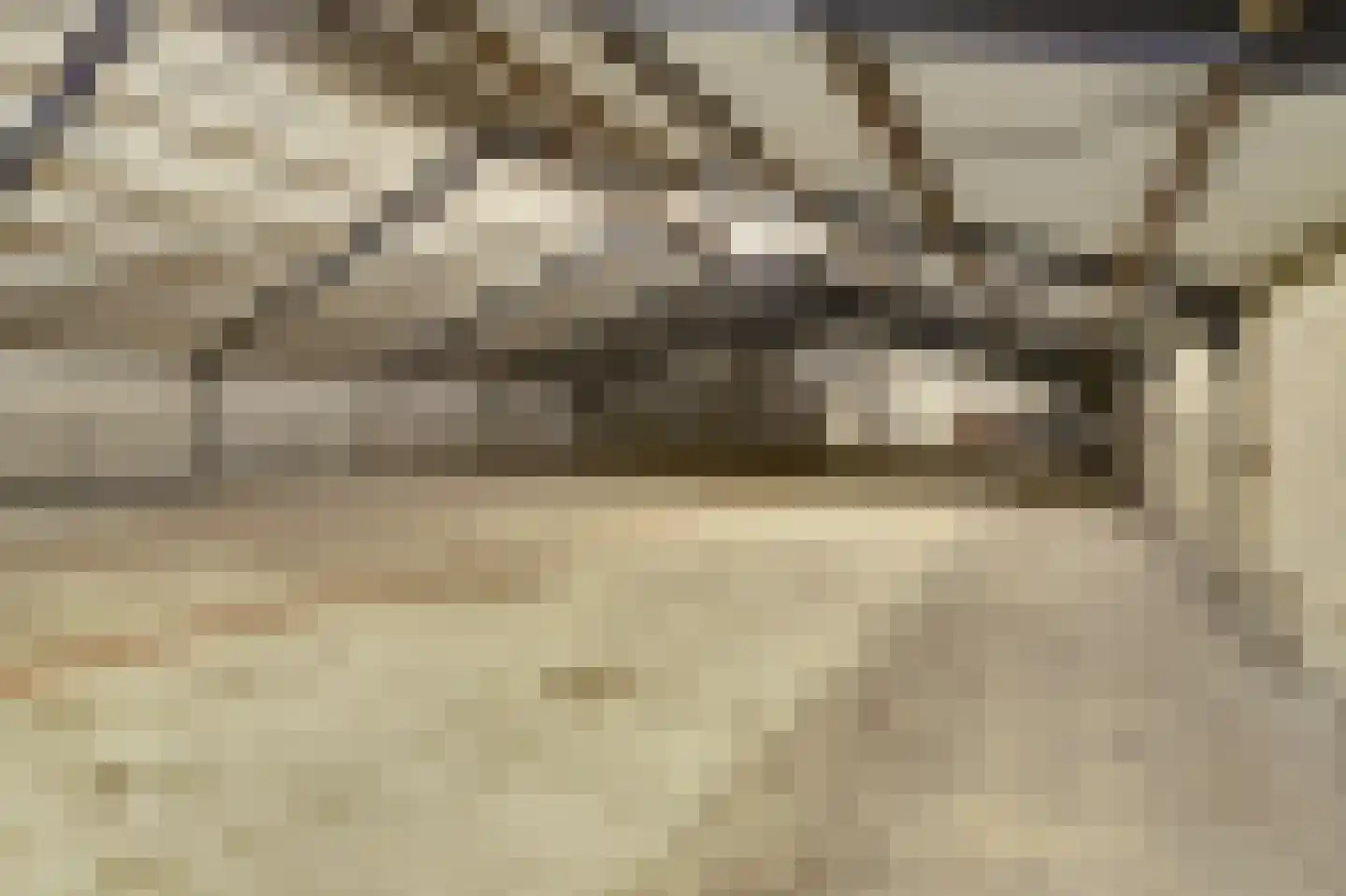 Wellenseind 5 Lage Mierde thumbnail 44