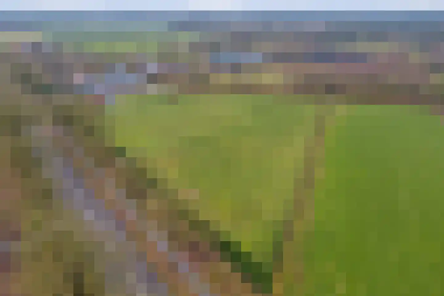 Wellenseind 5 Lage Mierde thumbnail 47