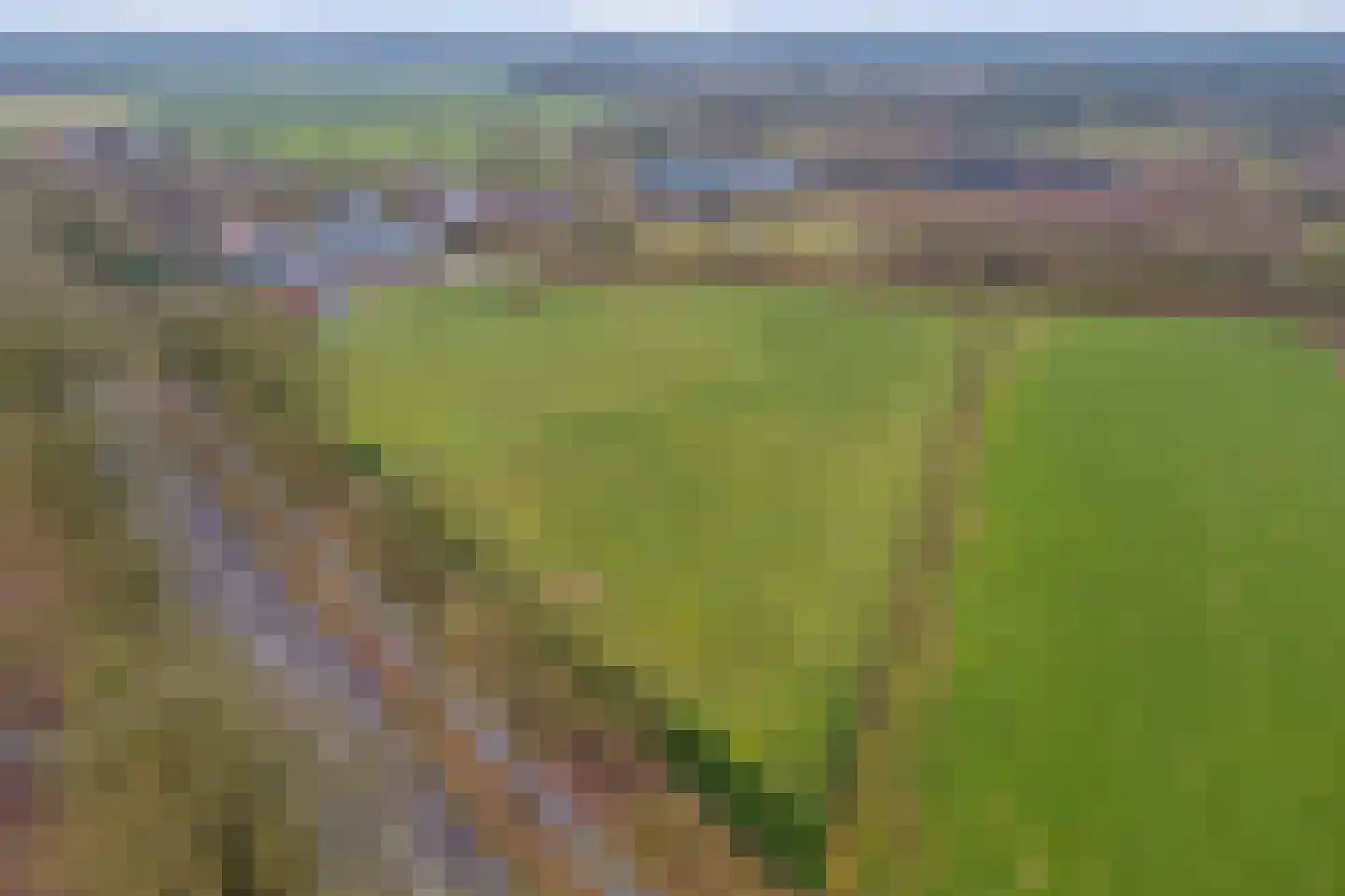 Wellenseind 5 Lage Mierde thumbnail 48