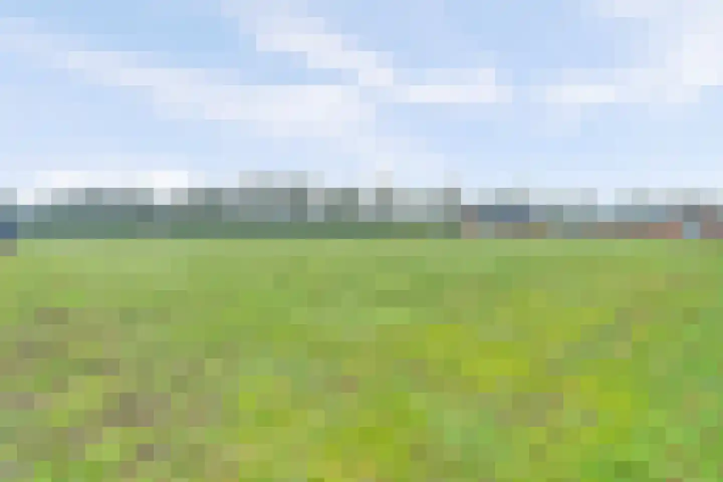 Wellenseind 5 Lage Mierde thumbnail 5