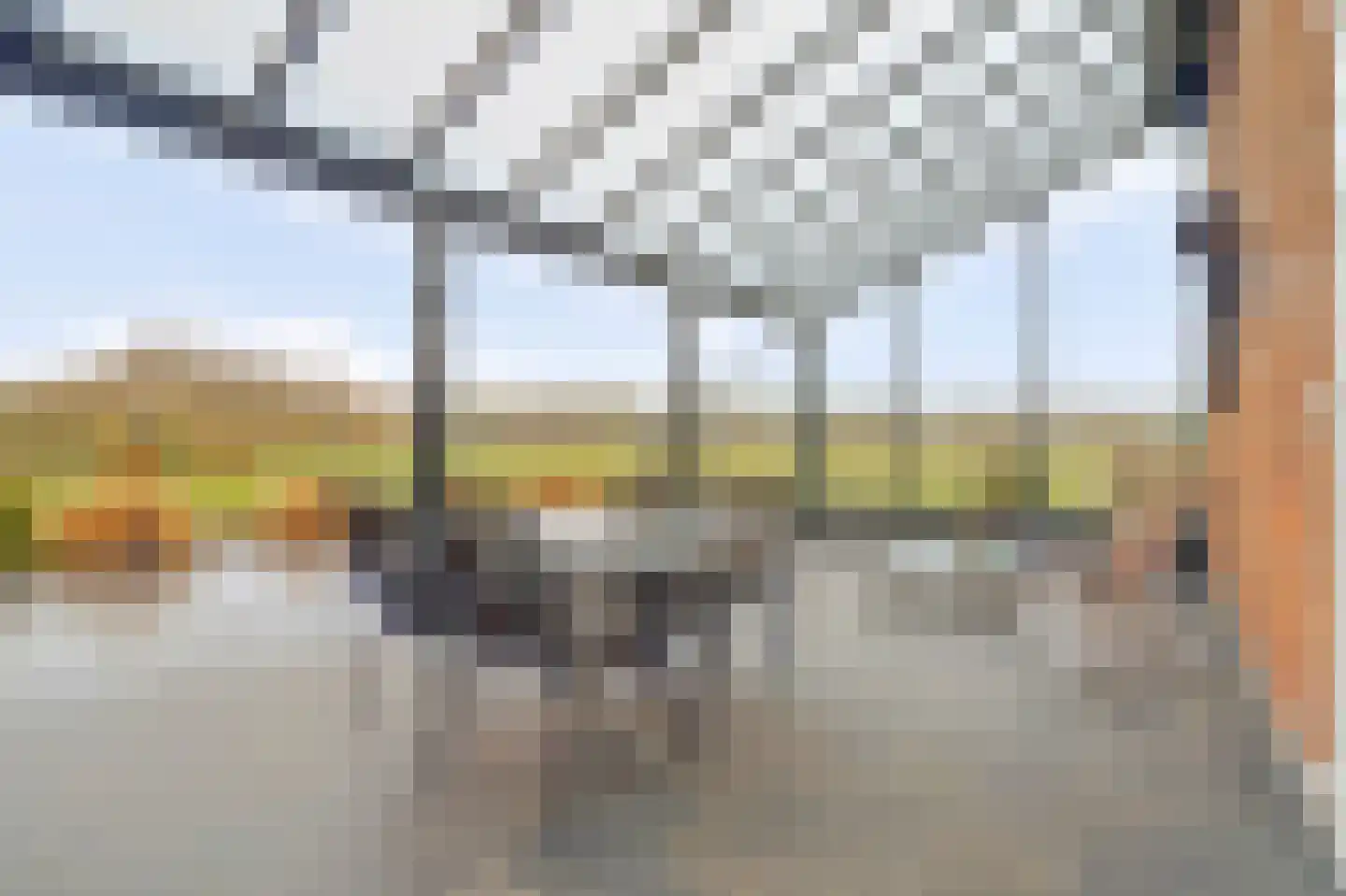 Wellenseind 5 Lage Mierde thumbnail 8