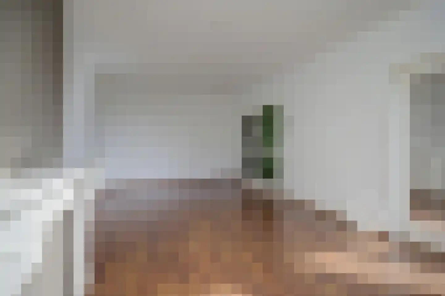 Wellensteinlaan 20 Arnhem thumbnail 18
