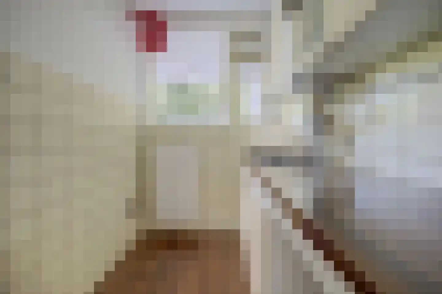 Wellensteinlaan 20 Arnhem thumbnail 19
