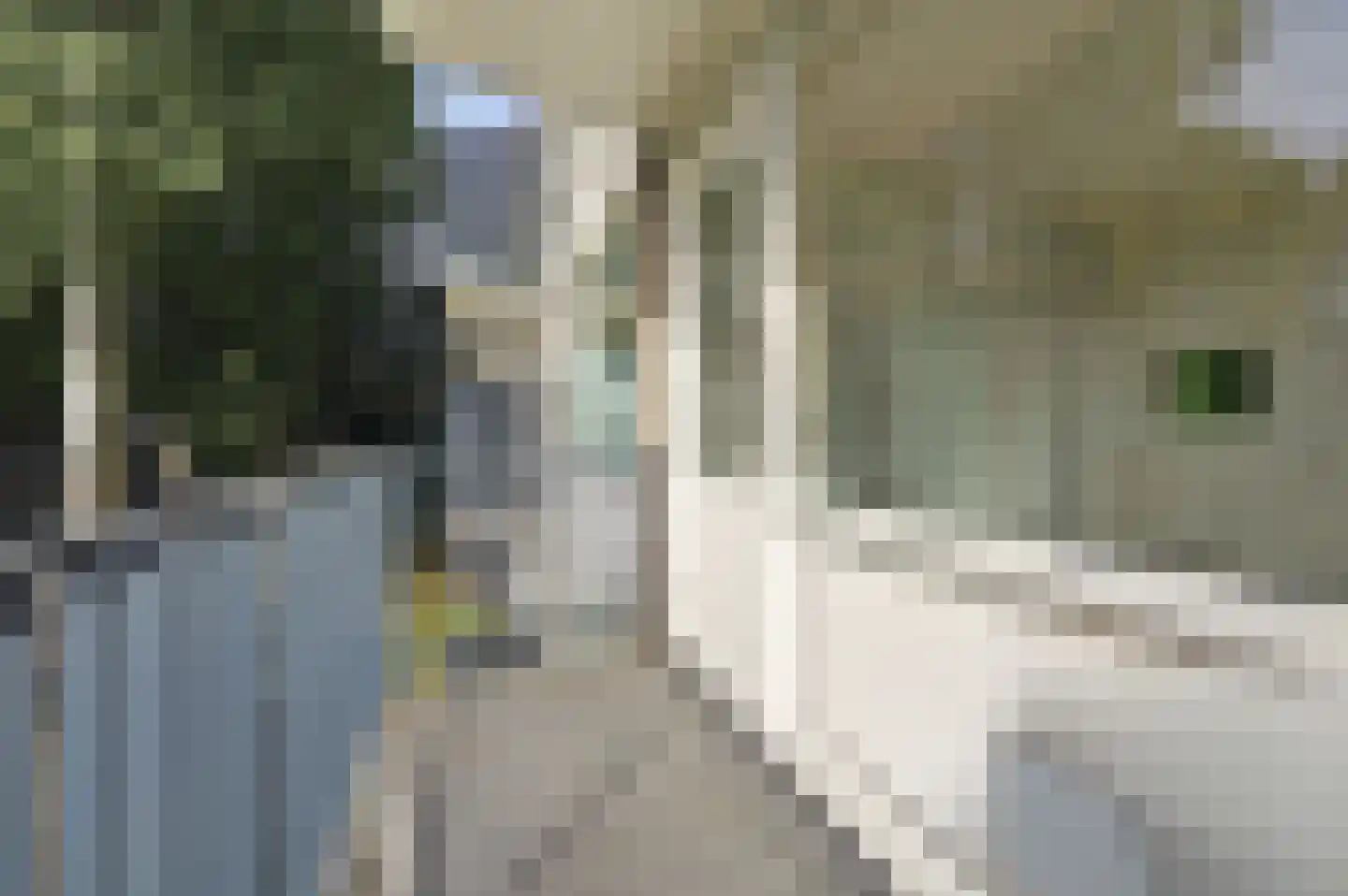 Wellensteinlaan 20 Arnhem thumbnail 31