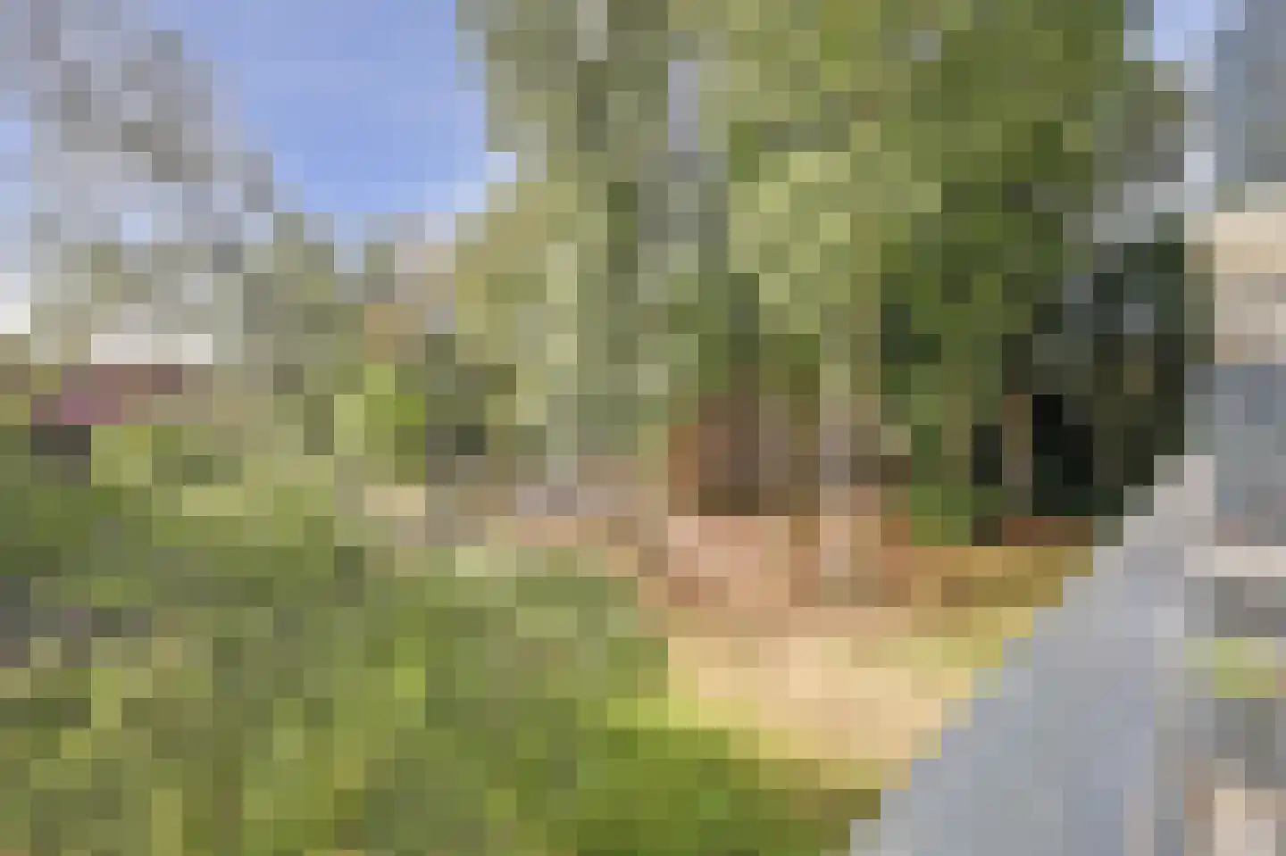 Wellensteinlaan 20 Arnhem thumbnail 32