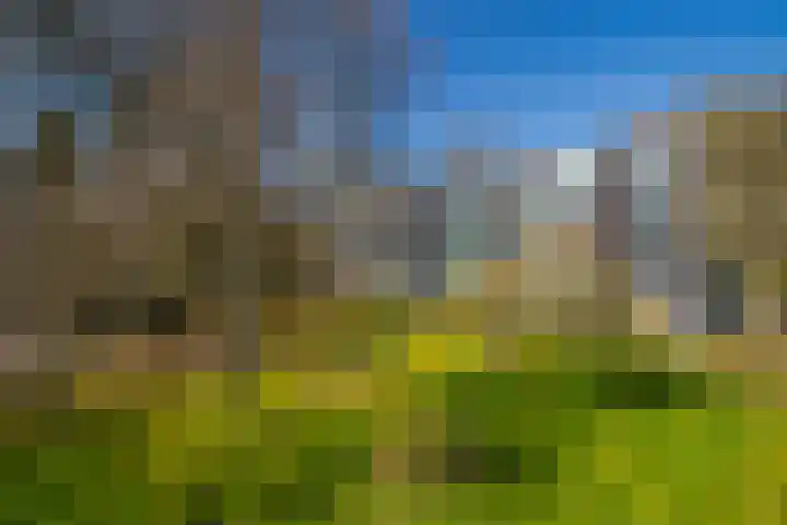 Wellensteinlaan 26 Arnhem thumbnail 20