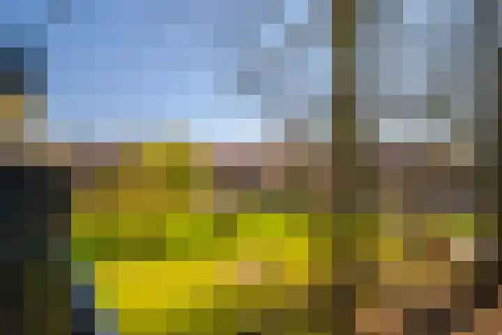Wellensteinlaan 26 Arnhem thumbnail 32