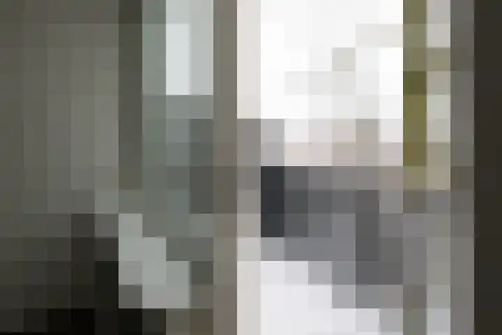 Wellensteinlaan 36 Arnhem thumbnail 21