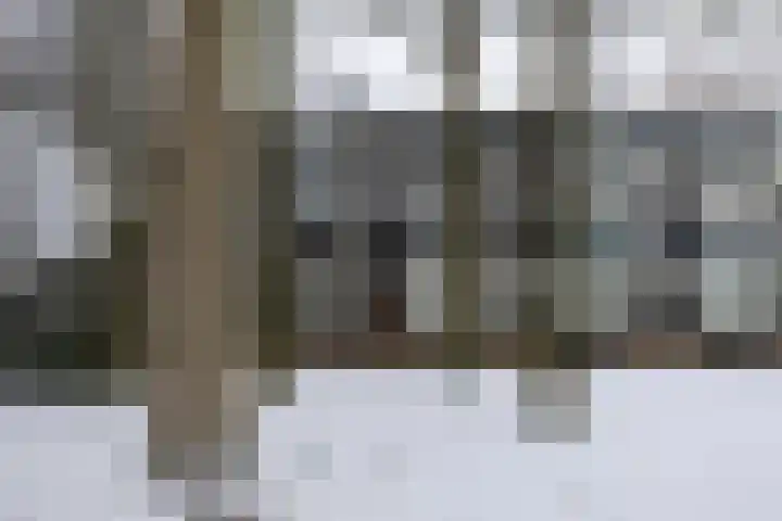 Wellensteinlaan 36 Arnhem thumbnail 25