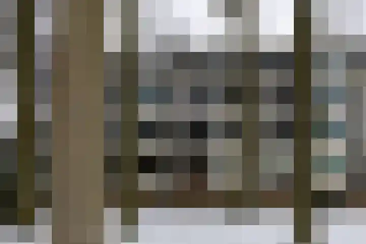 Wellensteinlaan 36 Arnhem thumbnail 26