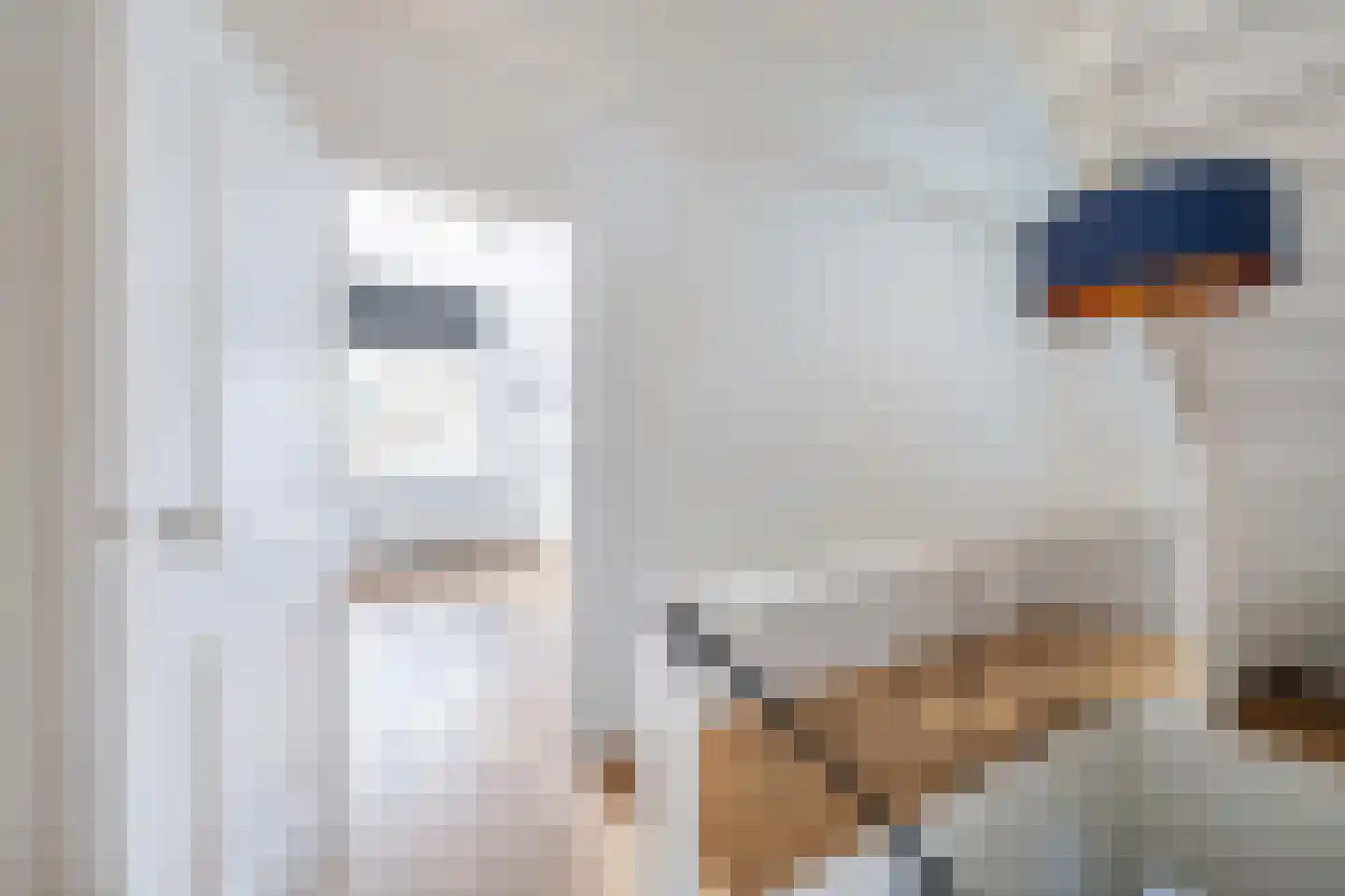 Wellerondom 5 Brielle thumbnail 25