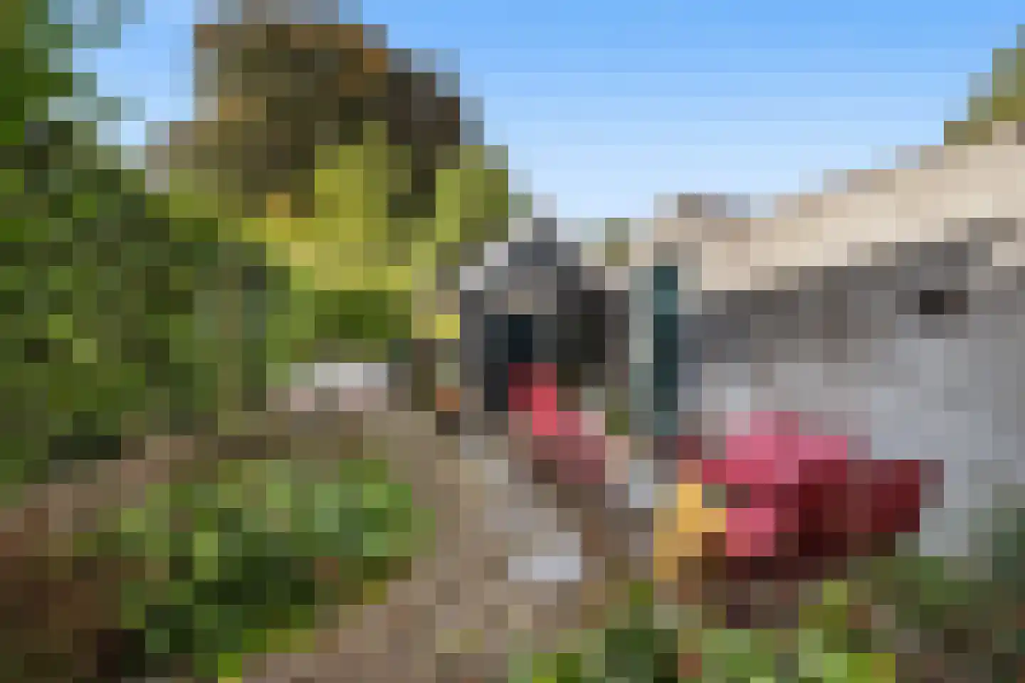 Wellerondom 5 Brielle thumbnail 47