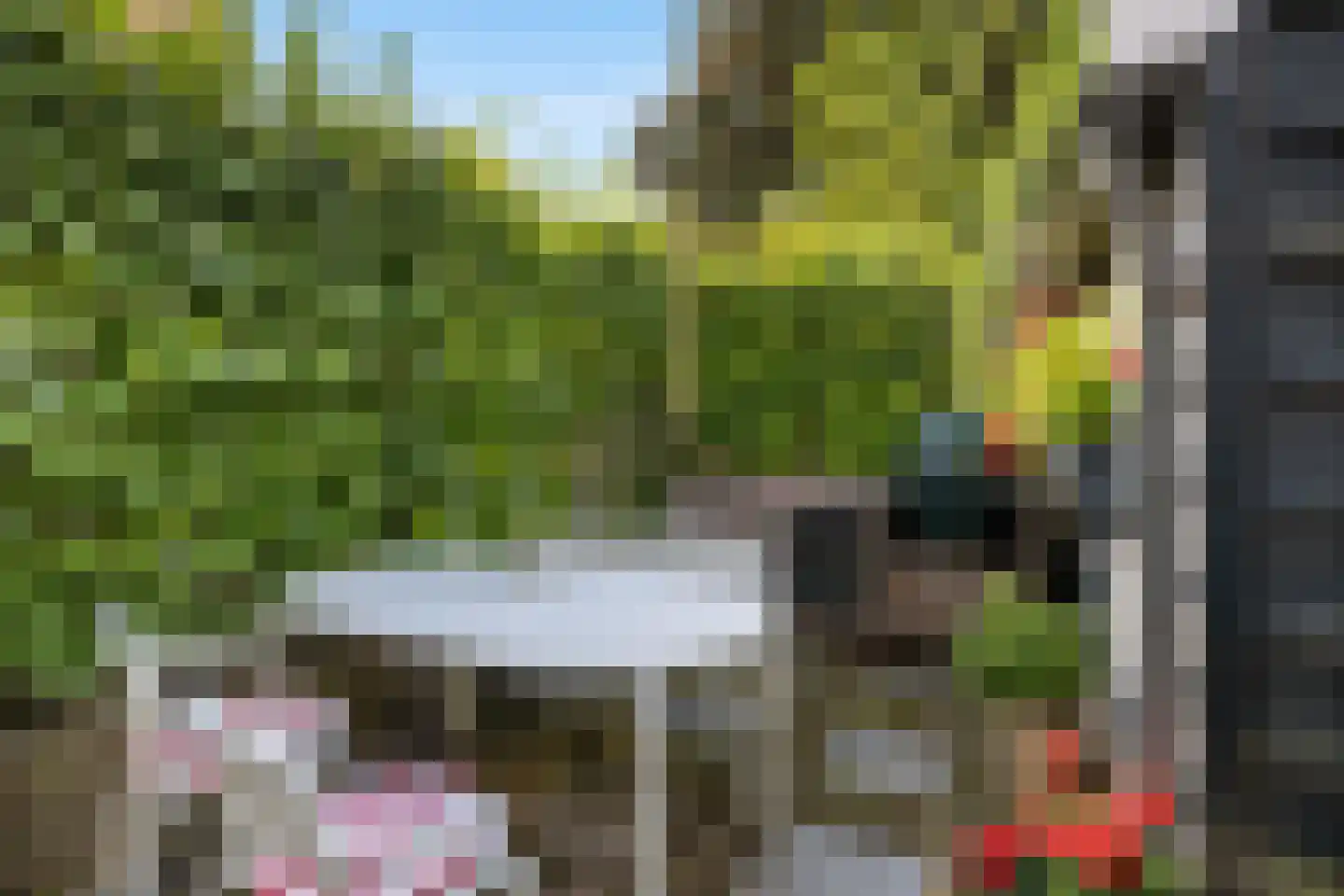 Wellerondom 5 Brielle thumbnail 48