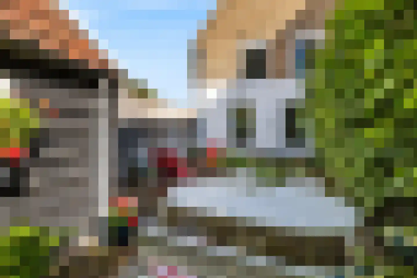 Wellerondom 5 Brielle thumbnail 49