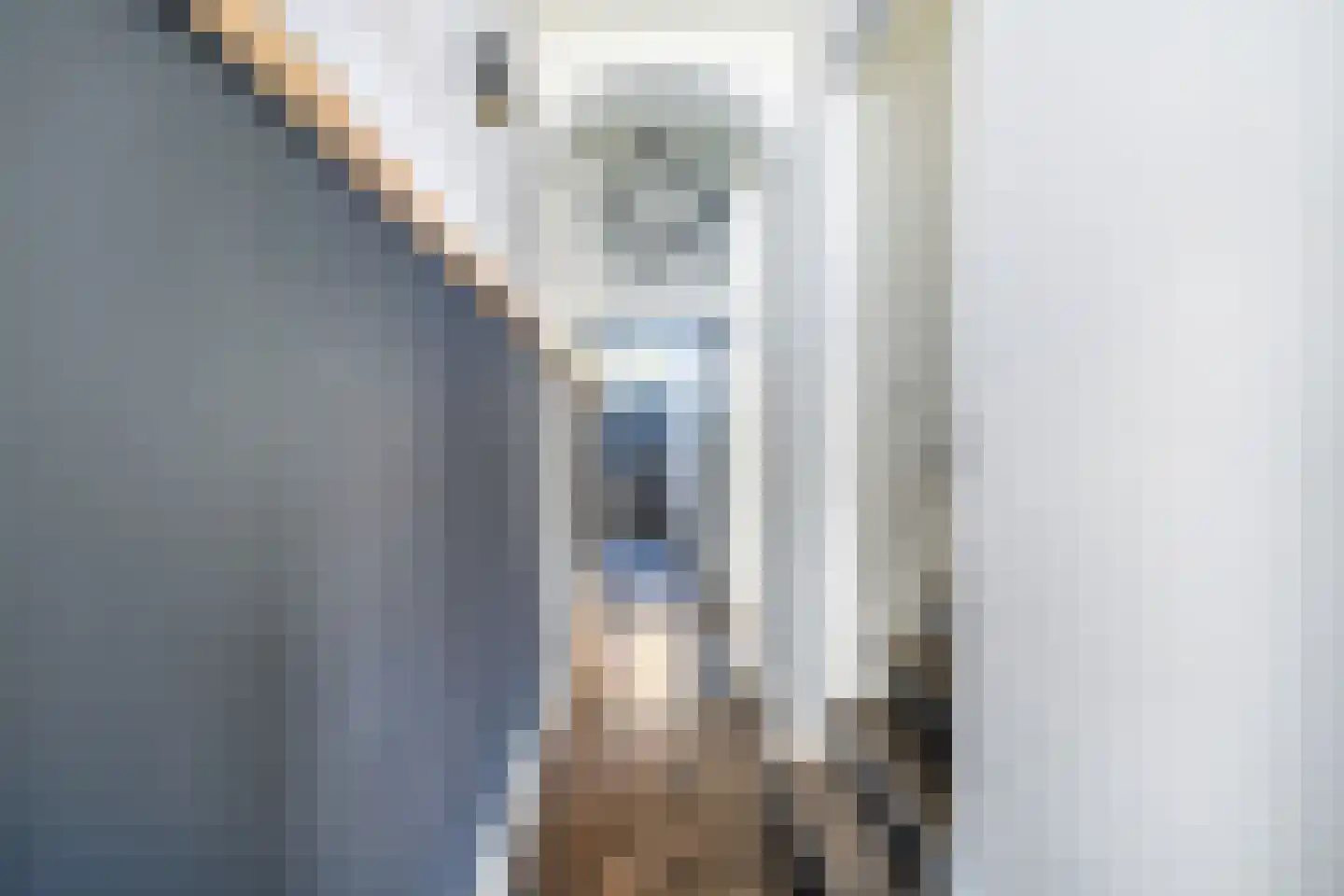 Wellerondom 5 Brielle thumbnail 6