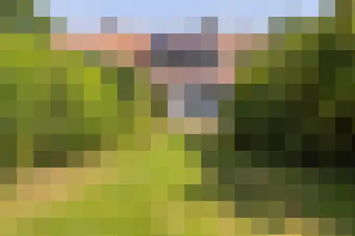 Wellerzandweg 6 B Bant thumbnail 10
