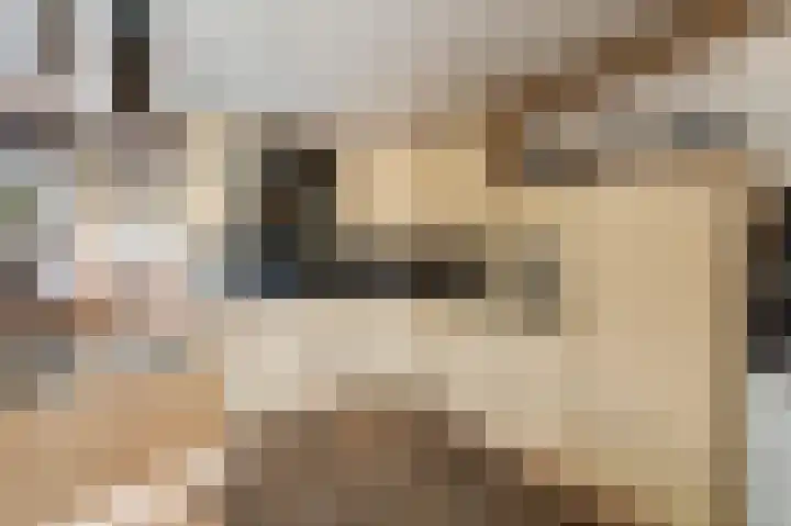 Wellerzandweg 6 B Bant thumbnail 22