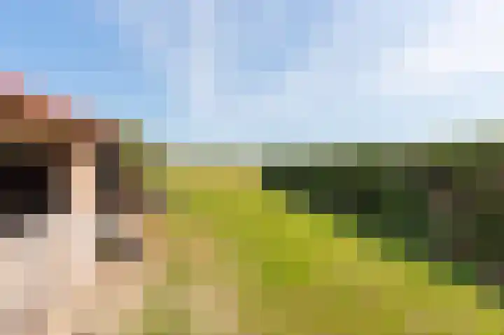 Wellerzandweg 6 B Bant thumbnail 31