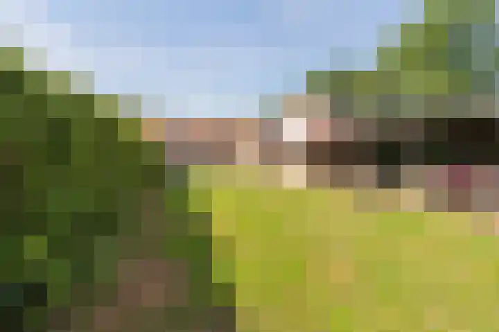 Wellerzandweg 6 B Bant thumbnail 32