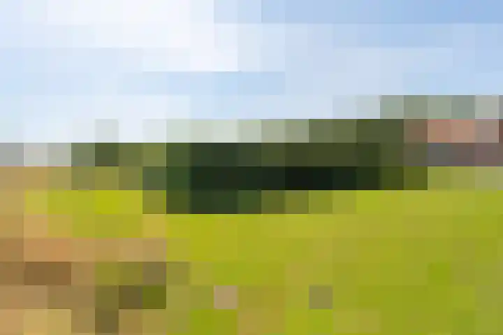 Wellerzandweg 6 B Bant thumbnail 33
