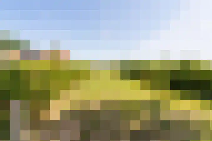 Wellerzandweg 6 B Bant thumbnail 36