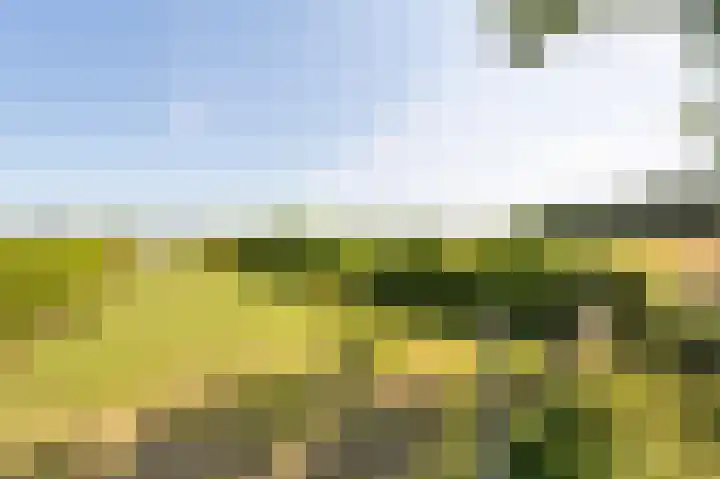 Wellerzandweg 6 B Bant thumbnail 37