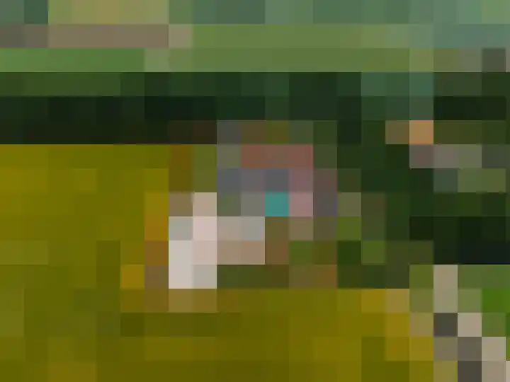 Wellerzandweg 6 B Bant thumbnail 4