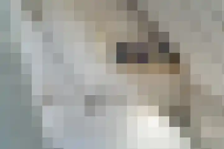 Wellerzandweg 6 B Bant thumbnail 45