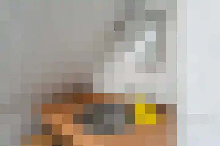 Wellerzandweg 6 B Bant thumbnail 46