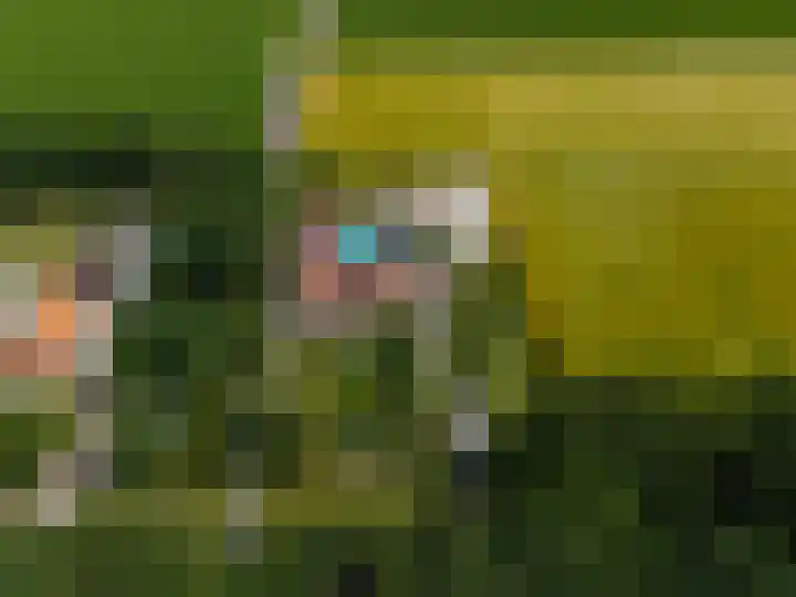Wellerzandweg 6 B Bant thumbnail 48