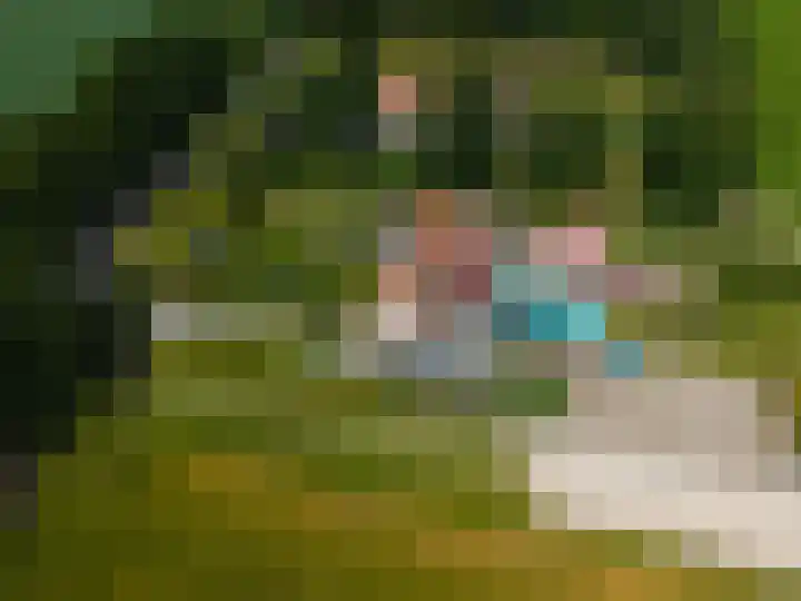 Wellerzandweg 6 B Bant thumbnail 49