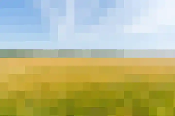 Wellerzandweg 6 B Bant thumbnail 5