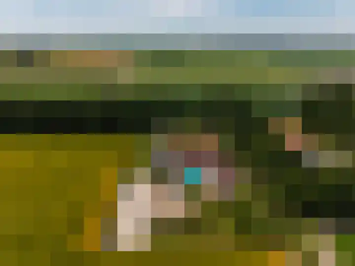 Wellerzandweg 6 B Bant thumbnail 50