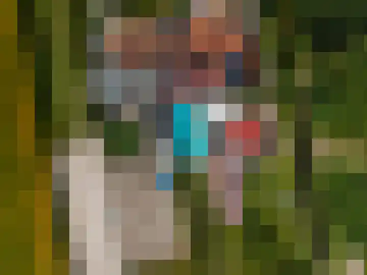 Wellerzandweg 6 B Bant thumbnail 51