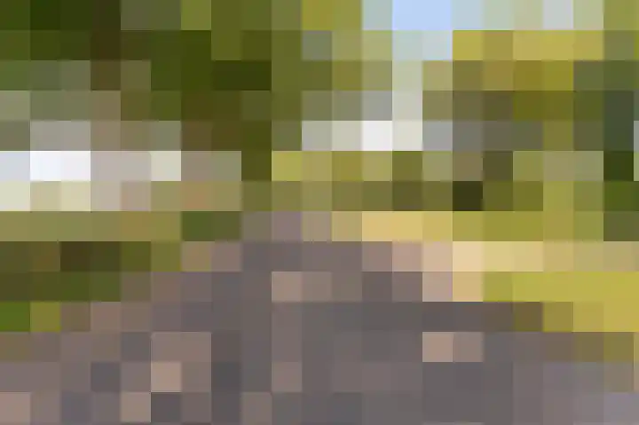Wellerzandweg 6 B Bant thumbnail 6