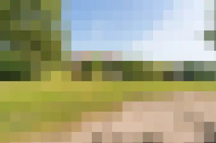 Wellerzandweg 6 B Bant thumbnail 7