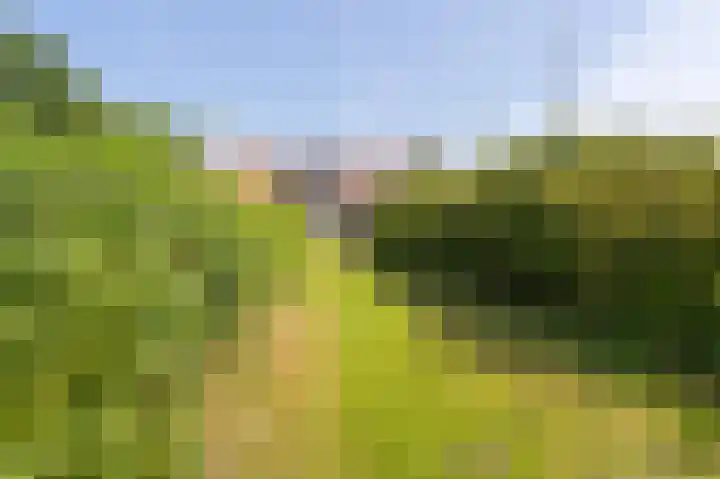 Wellerzandweg 6 B Bant thumbnail 8