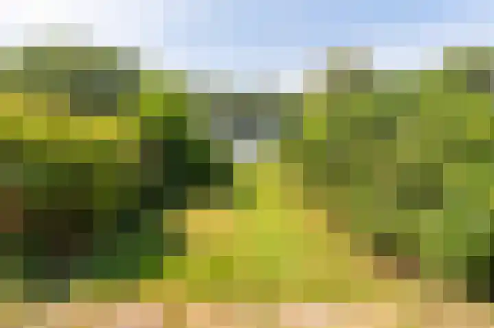 Wellerzandweg 6 B Bant thumbnail 9