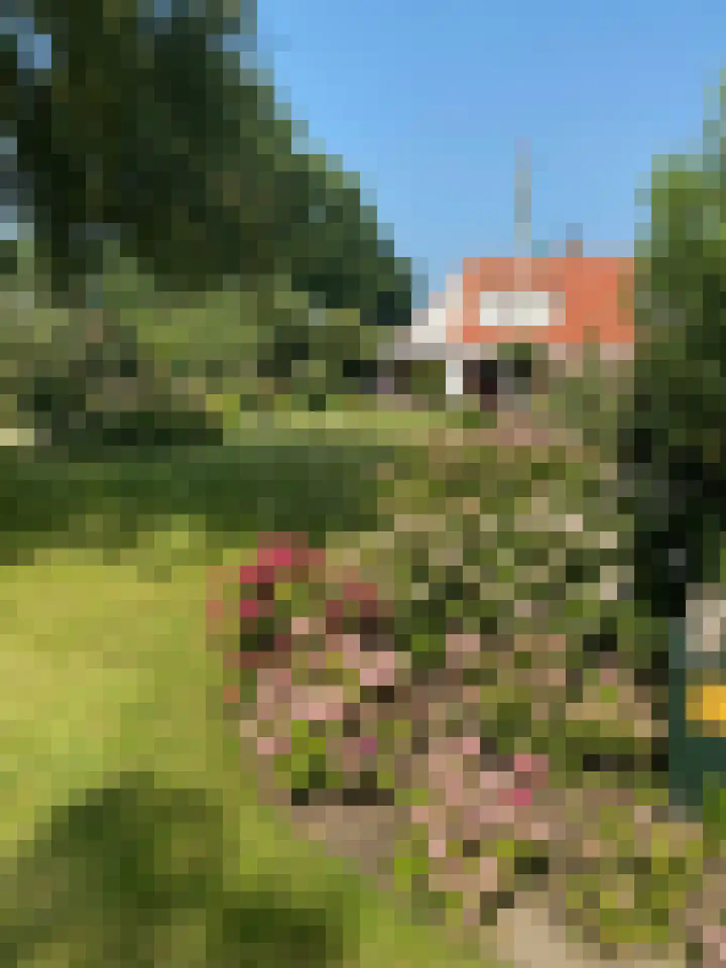 Wellerzandweg 6 C Bant thumbnail 10