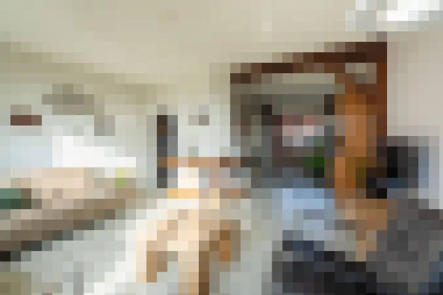 Wellerzandweg 6 C Bant thumbnail 17