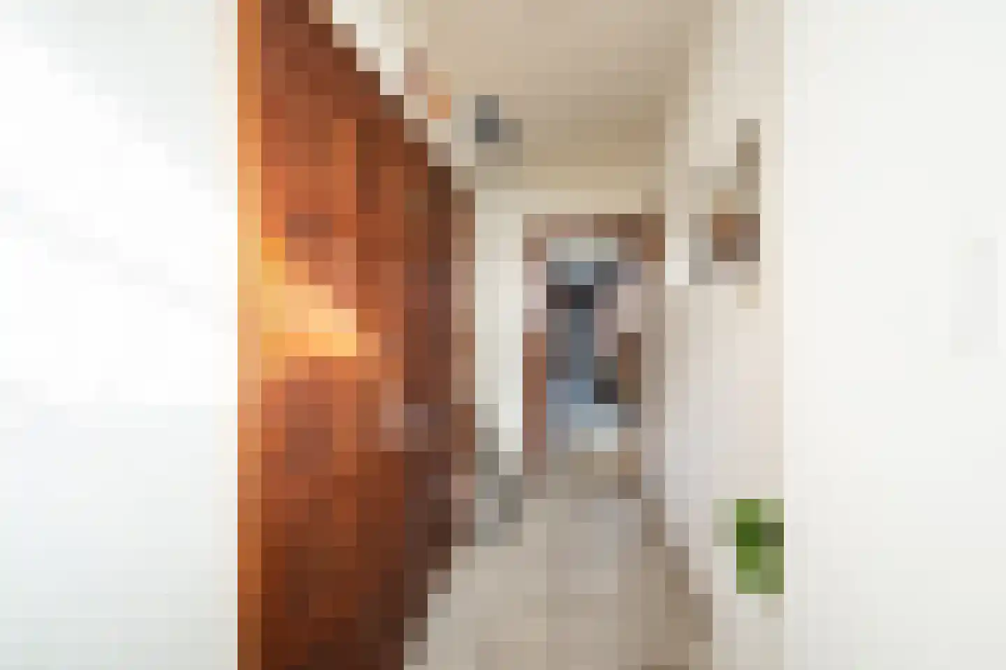 Wellerzandweg 6 C Bant thumbnail 34