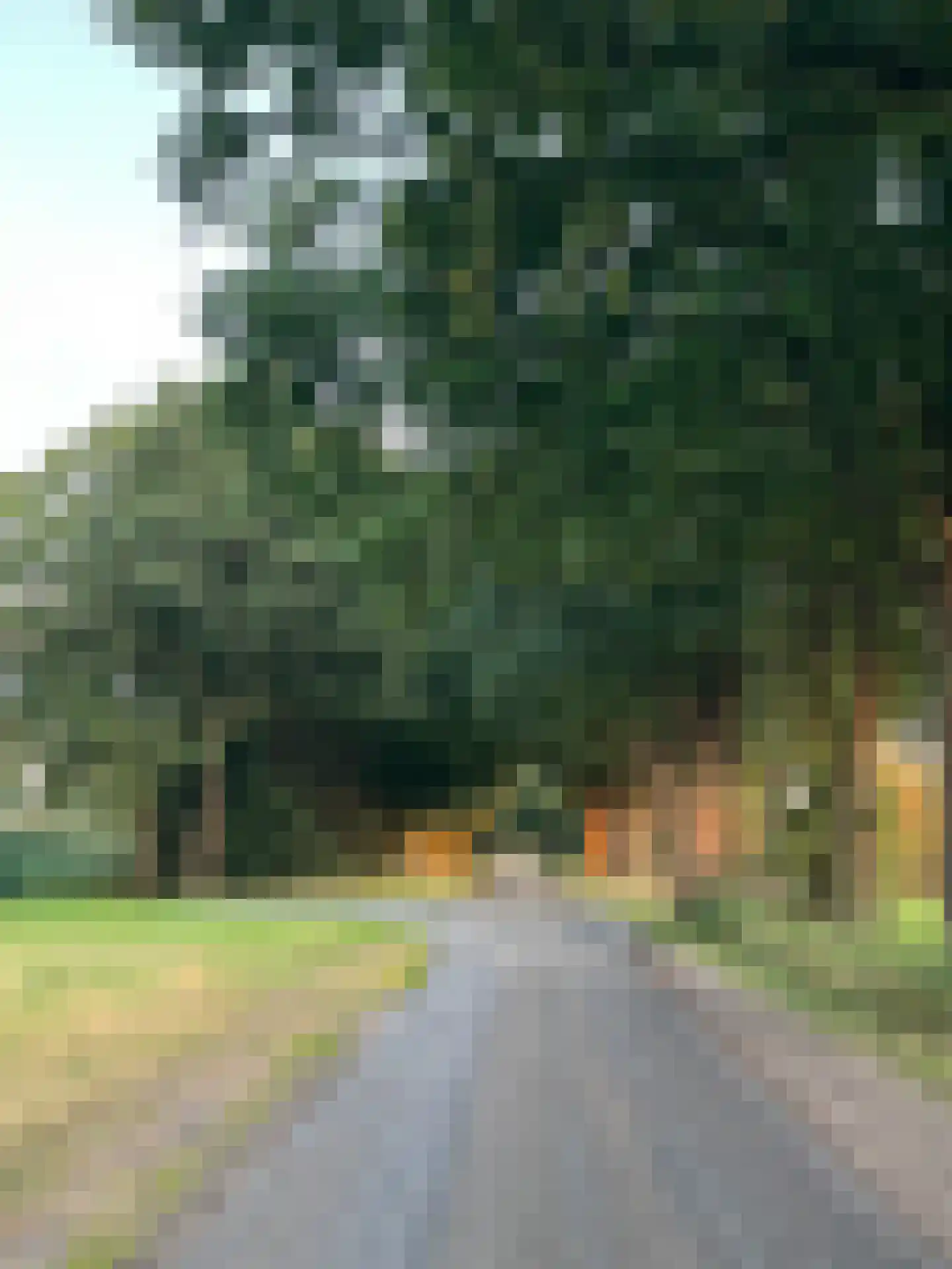 Wellerzandweg 6 C Bant thumbnail 6