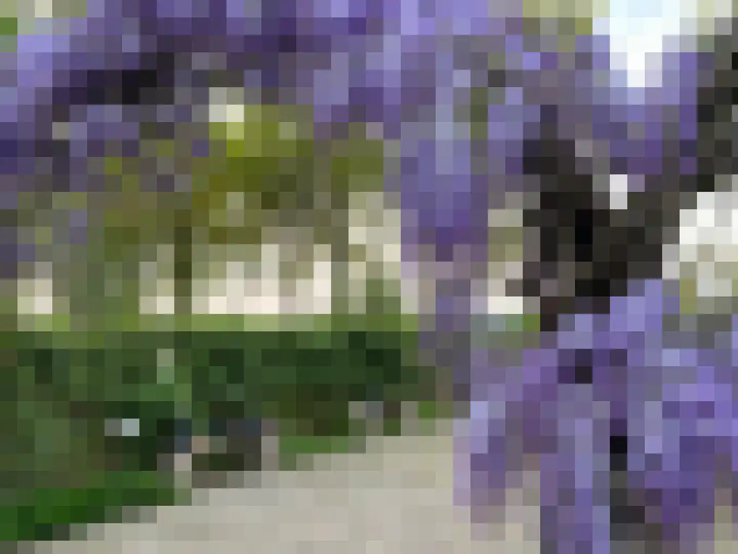 Wellerzandweg 6 C Bant thumbnail 65