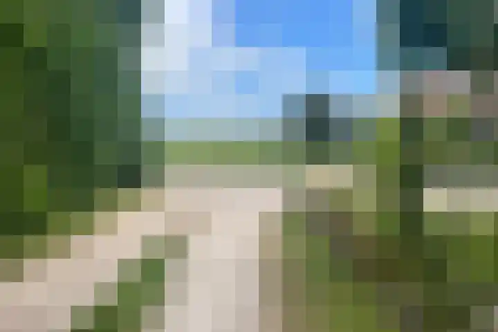 Welleweg 13 Dreischor thumbnail 14