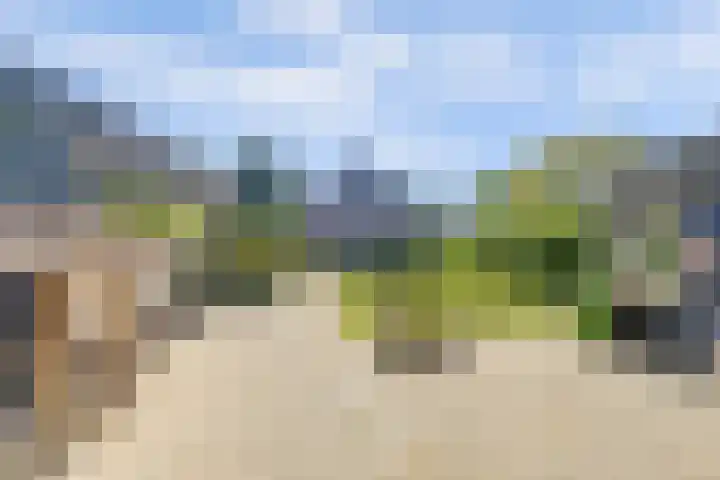 Welleweg 13 Dreischor thumbnail 15