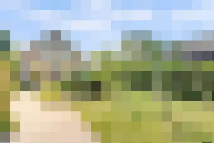 Welleweg 13 Dreischor thumbnail 16