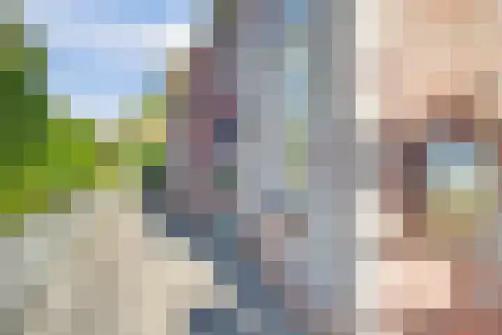 Welleweg 13 Dreischor thumbnail 17