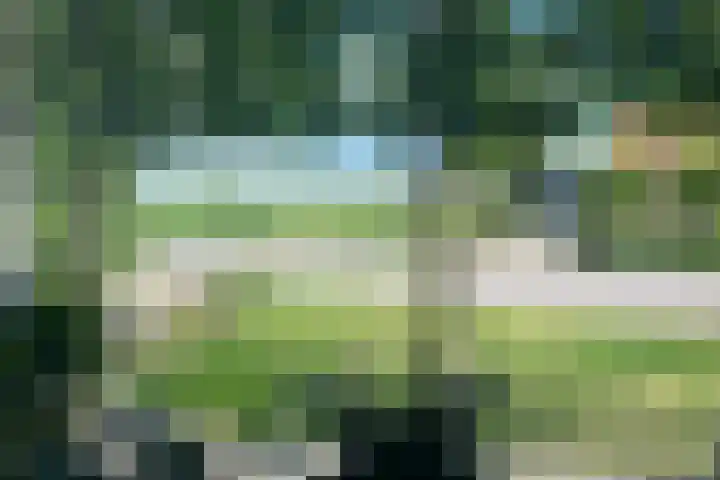 Welleweg 13 Dreischor thumbnail 19