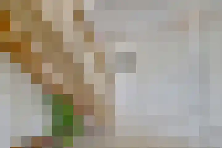 Welleweg 13 Dreischor thumbnail 31